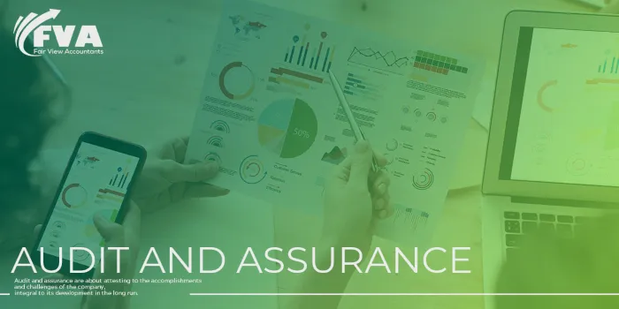 fair-view-accountant-audit-services