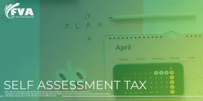 self-assessment-service-fairview-accountant