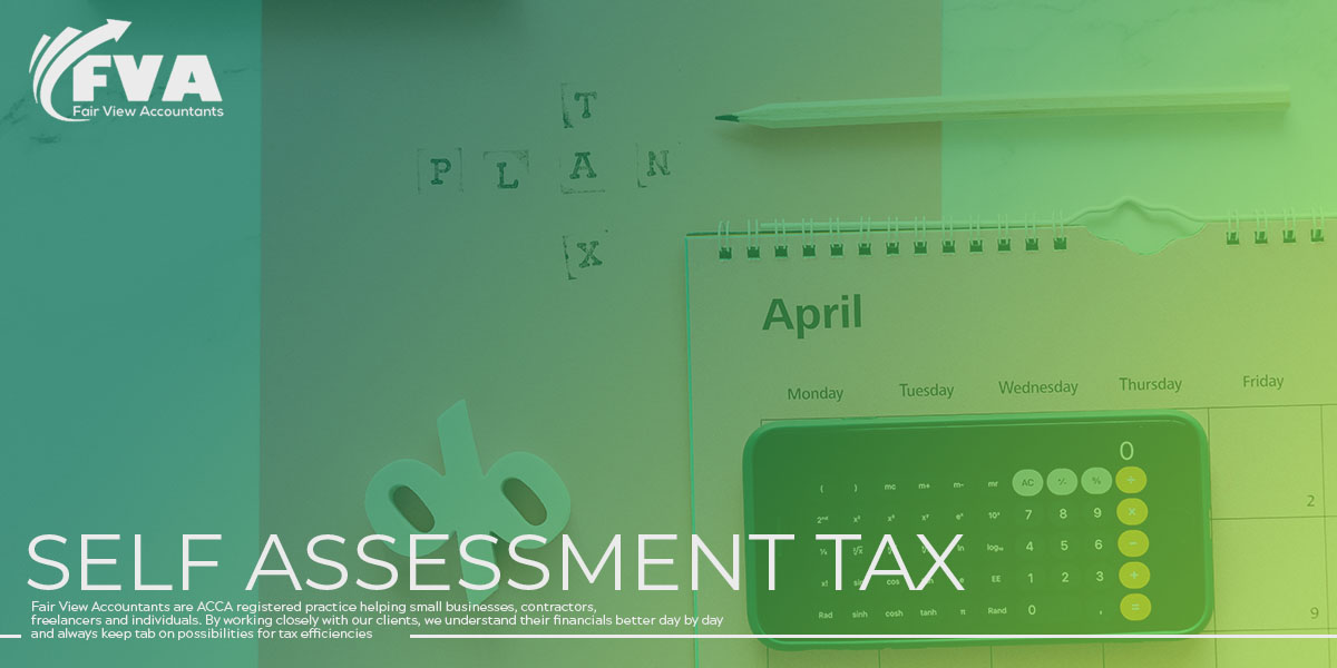 self-assessment-service-fairview-accountant